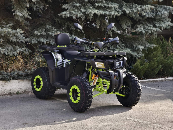 Квадроцикл R - MOTO (Р - Мото) Lion 200 X черный (машинокомплект) | Мототека